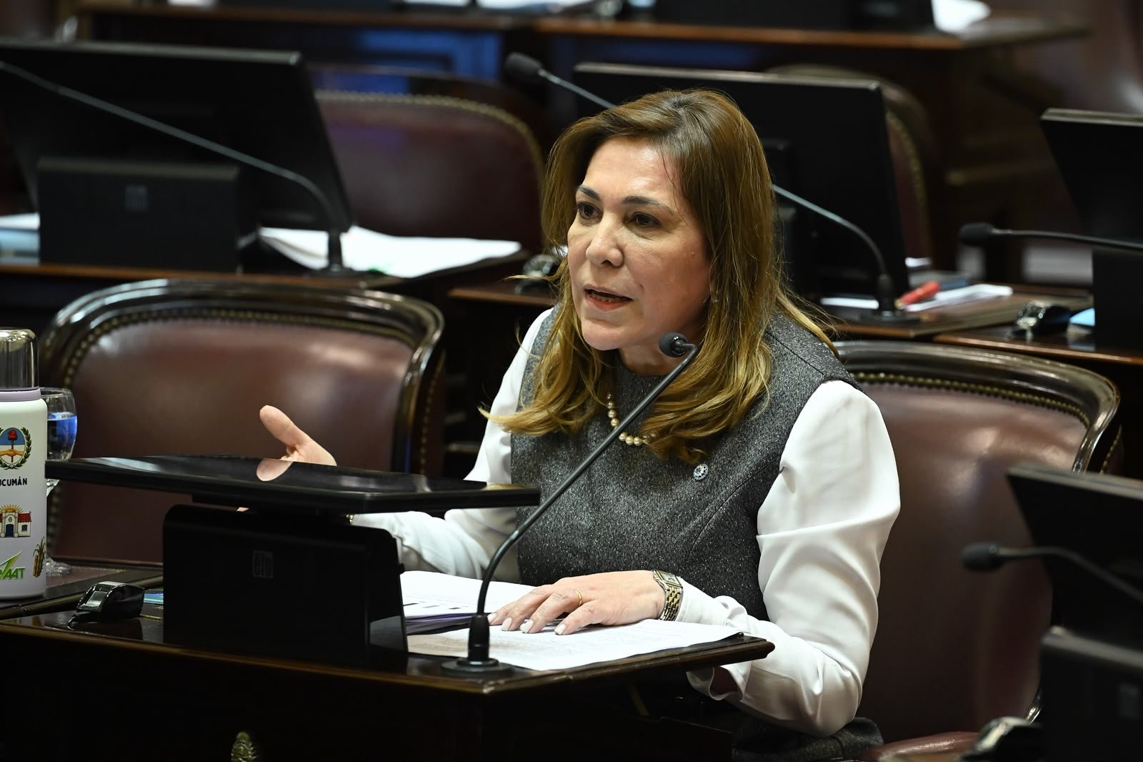 El Senado aprobó el nuevo régimen de biocombustibles y el bioetanol tucumano gana terreno