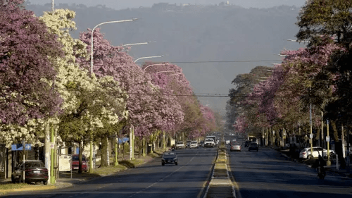 Miércoles soleado en Tucumán: la temperatura llegará a los 23°C